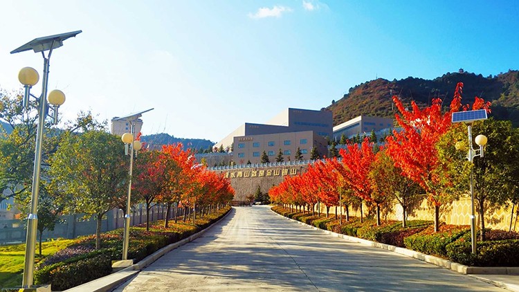 202012051607158534131530.jpg 22222jpg.jpg