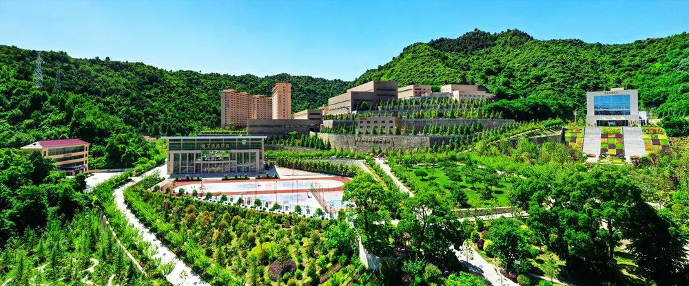 202208051659692324443399.jpg 5.jpg