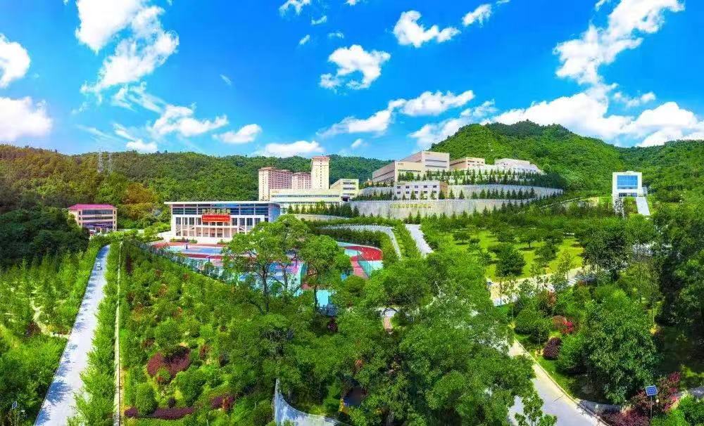 202406251719303519682367.jpg 7.jpg