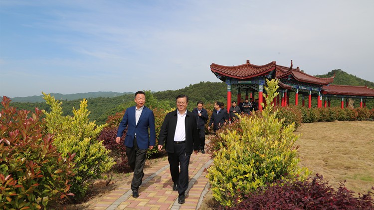 省人民檢察院黨組書記、檢察長朱玉調研金徽股份